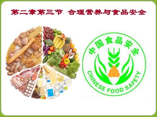 合理营养与食品安全